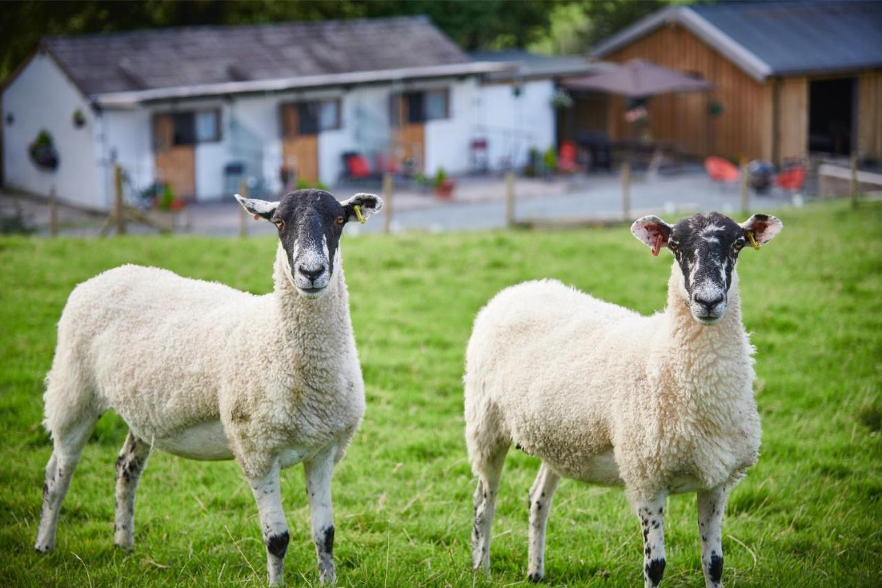 肯德尔Newlands Farm Stables别墅 外观 照片