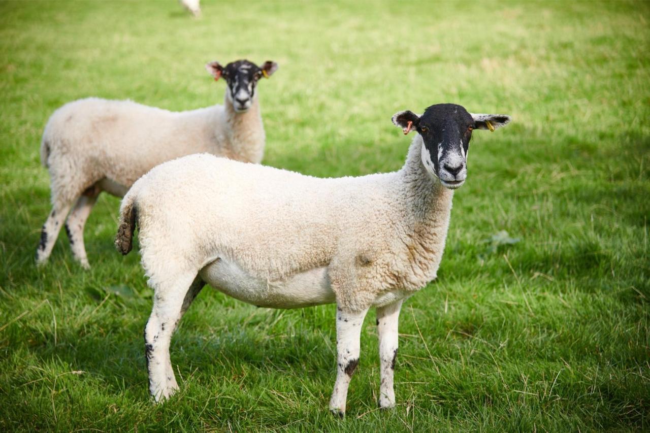 肯德尔Newlands Farm Stables别墅 外观 照片